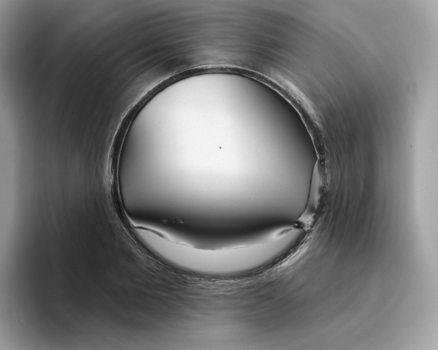 X0000094330885200711301226