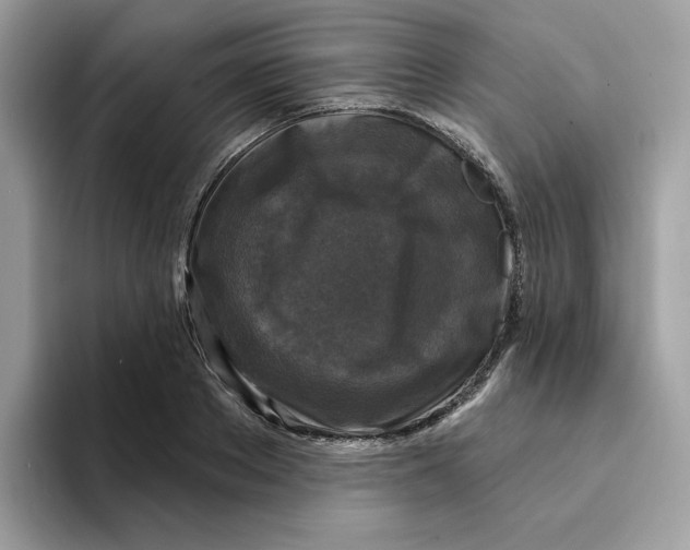 X0000094330889200711301226