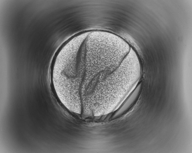 X0000094330892200711301226