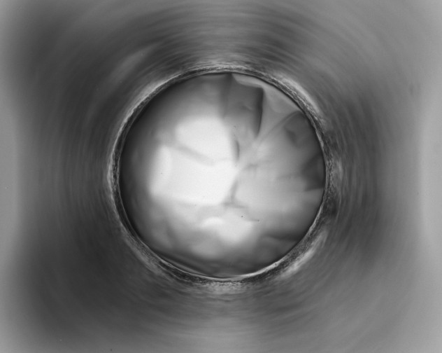 X0000094330893200711301226