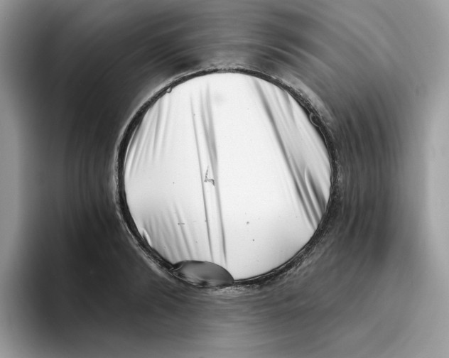 X0000094330894200711301226