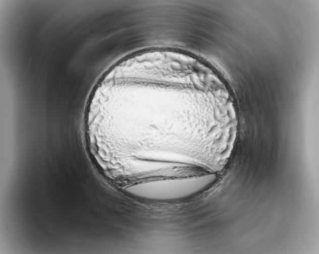 X0000094330895200711301226