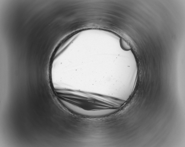 X0000094330896200711301226