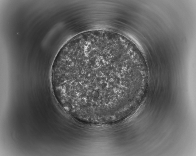 X0000094330899200711301226