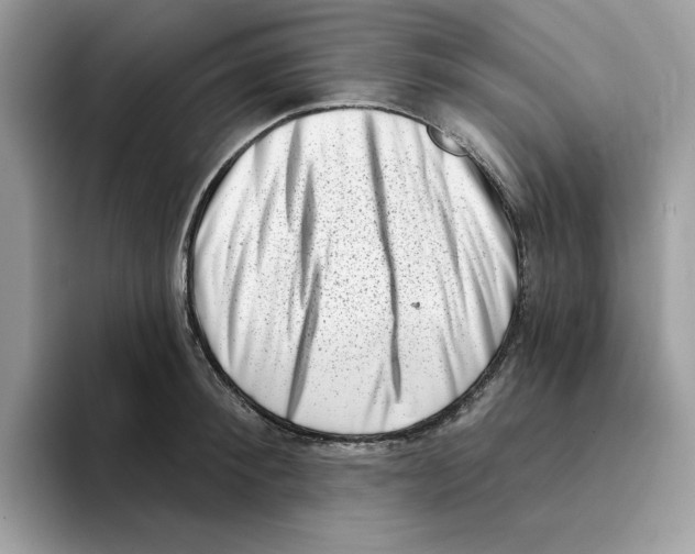 X0000094330900200711301226