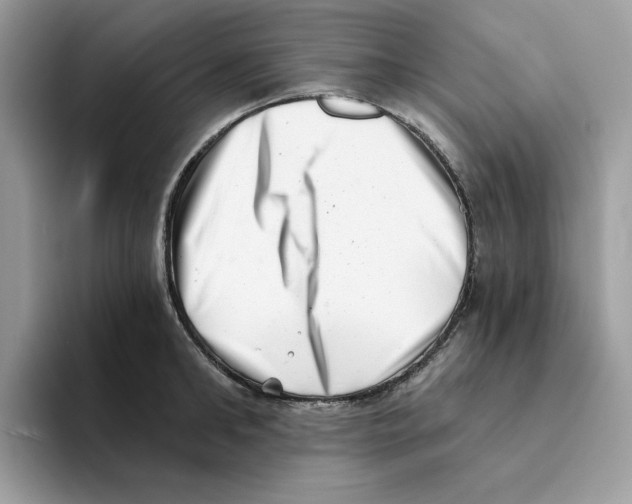 X0000094330902200711301226