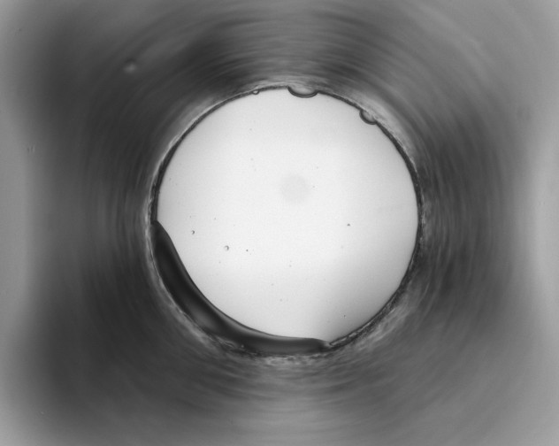 X0000094330906200711301226