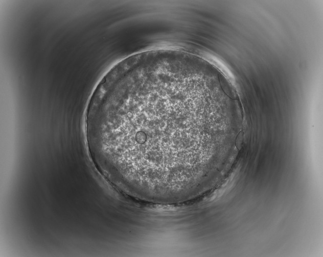 X0000094330907200711301226