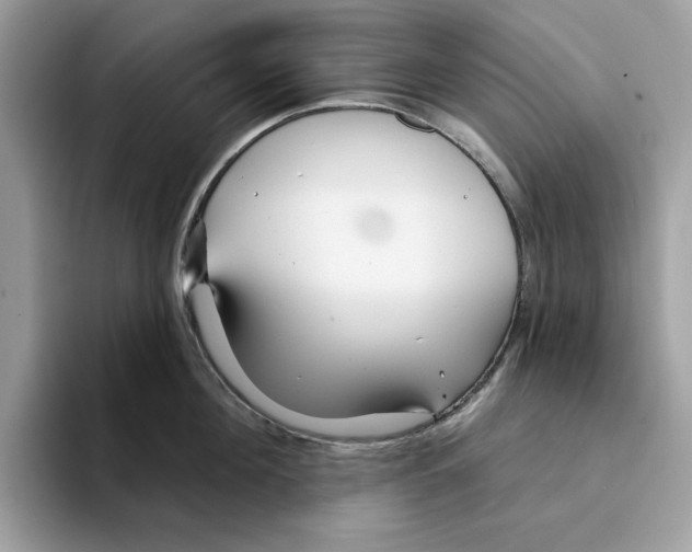 X0000094330908200711301226