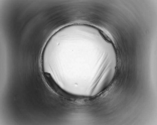 X0000094330911200711301226