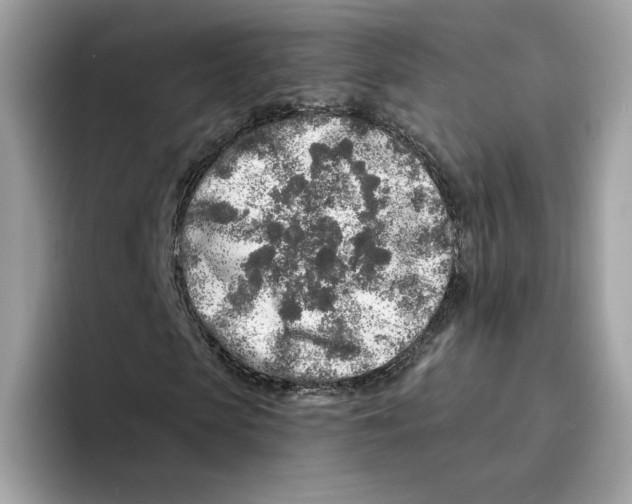 X0000094330913200711301225