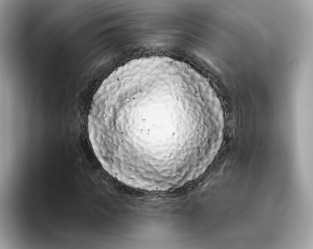 X0000094330917200711301225