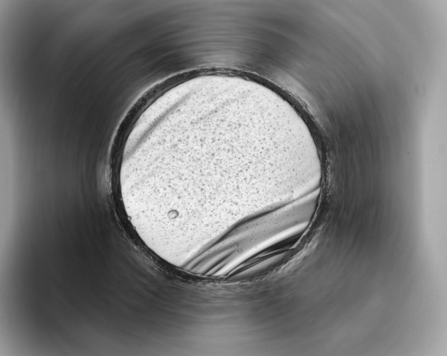 X0000094330924200711301225