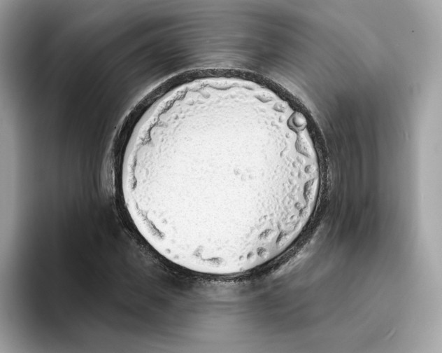 X0000094330925200711301225