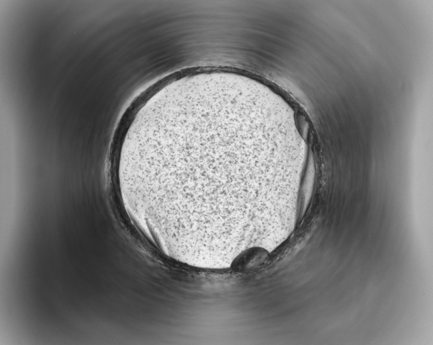 X0000094330928200711301225