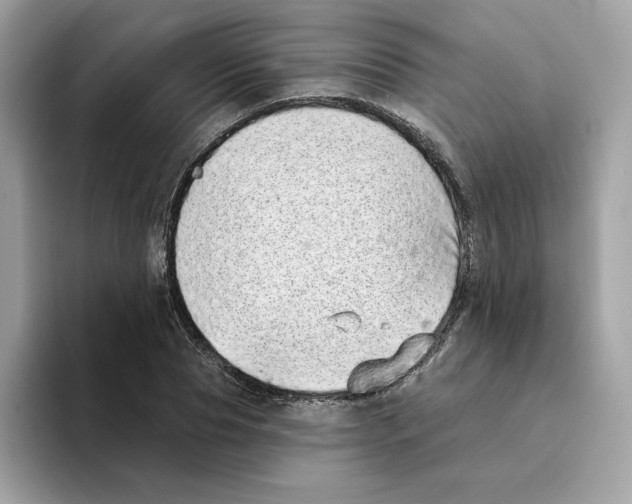 X0000094330929200711301225