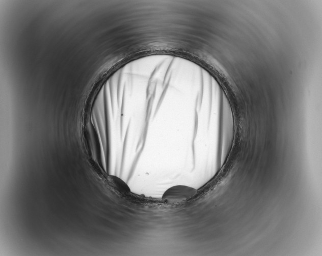 X0000094330930200711301225