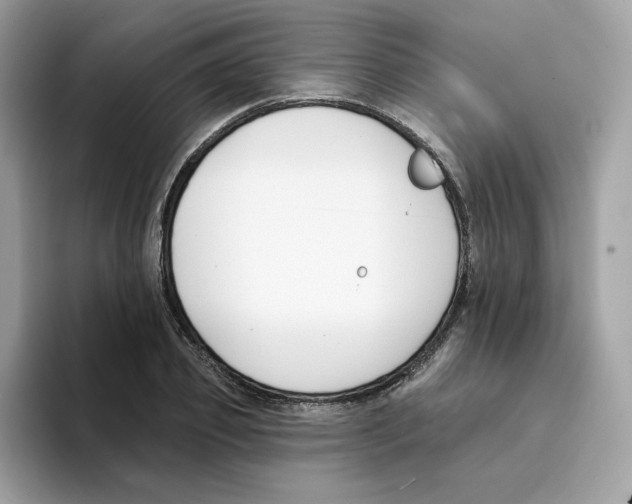 X0000094330933200711301225