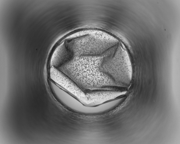 X0000094330936200711301225