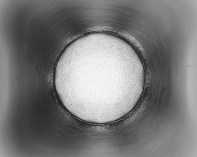 X0000094330937200711301225