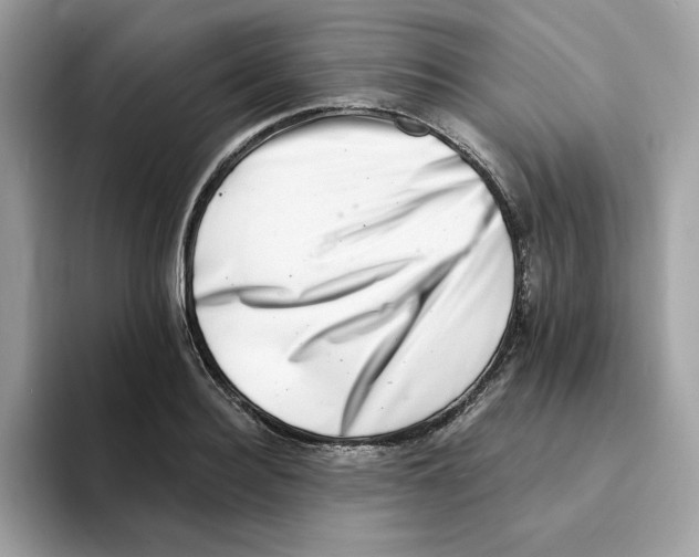 X0000094330940200711301225