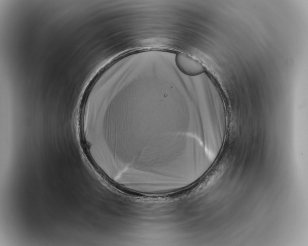 X0000094330941200711301225