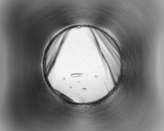 X0000094330943200711301226