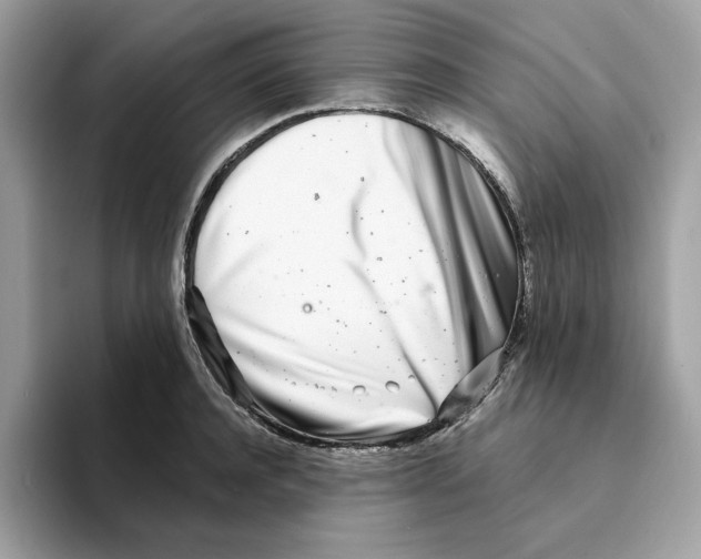 X0000094330944200711301226