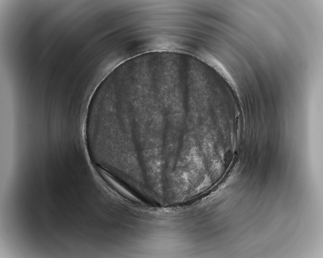 X0000094330946200711301226