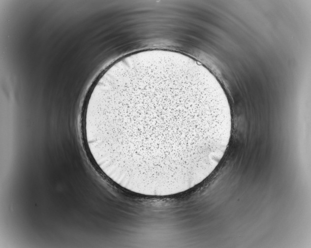 X0000094330947200711301226