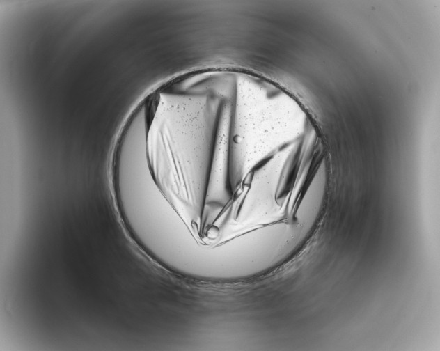 X0000094330950200711301226