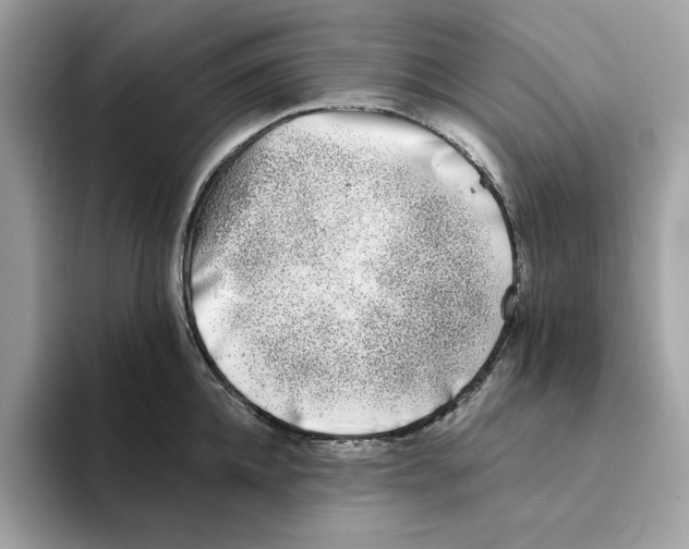 X0000094330952200711301226