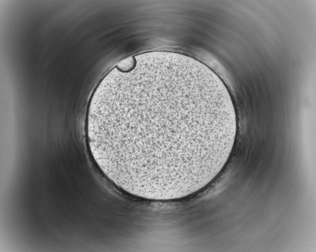 X0000094330954200711301226