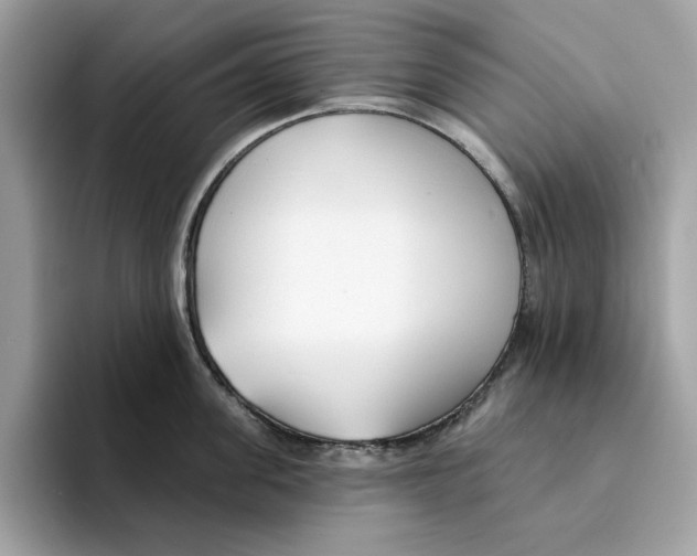 X0000094330955200711301226