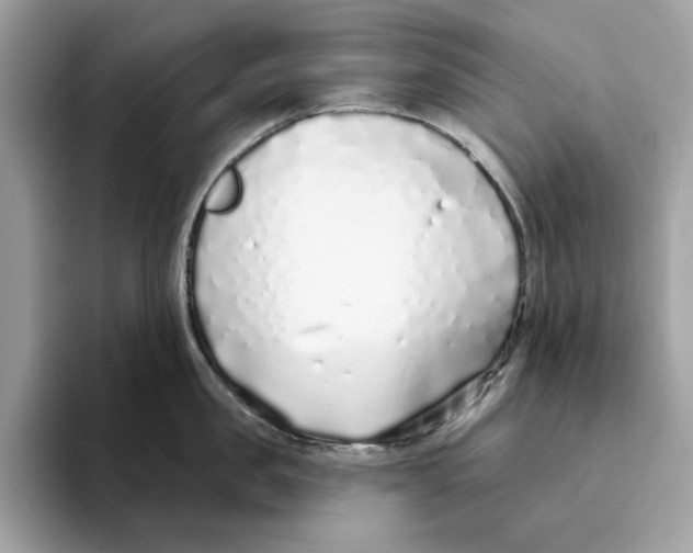 X0000094330957200711301226