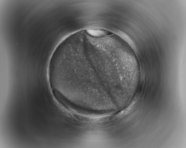 X0000094330958200711301226