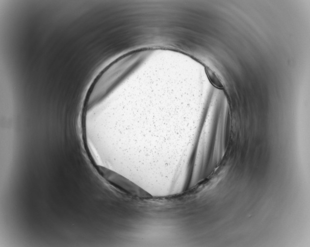 X0000094330959200711301226