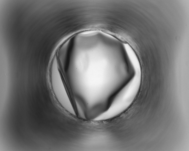 X0000094330960200711301226