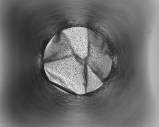 X0000094330963200711301225