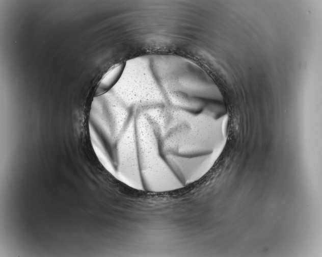 X0000094330964200711301225