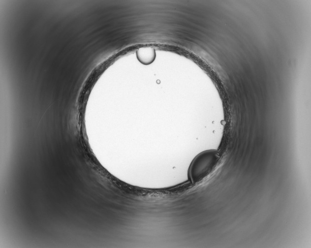 X0000094330974200711301225