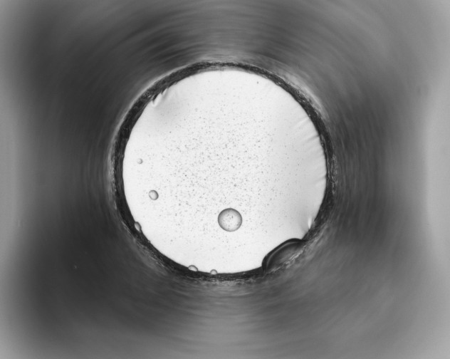 X0000094330976200711301225