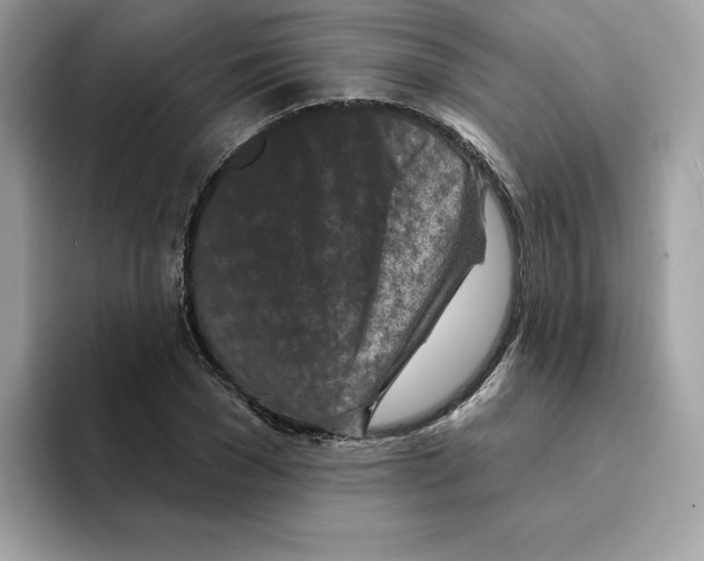 X0000094330977200711301225