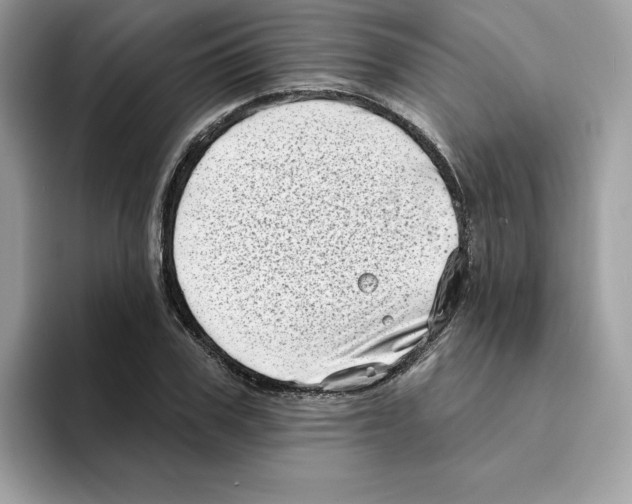 X0000094330979200711301225