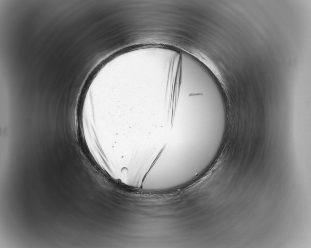 X0000094330980200711301225