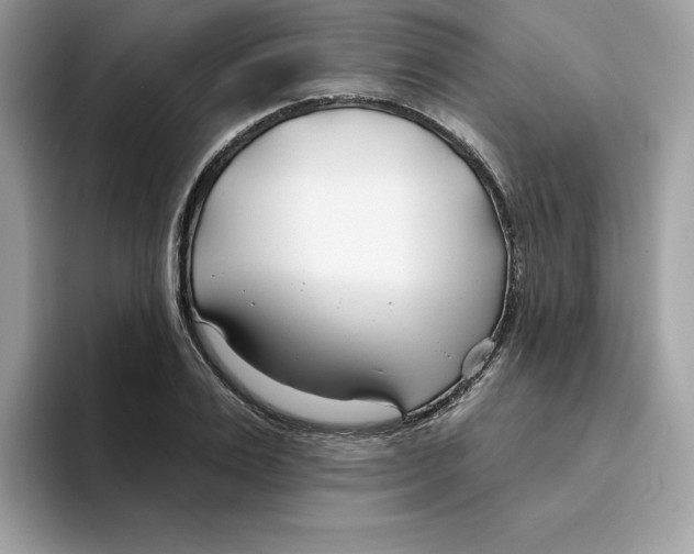 X0000094330983200711301225