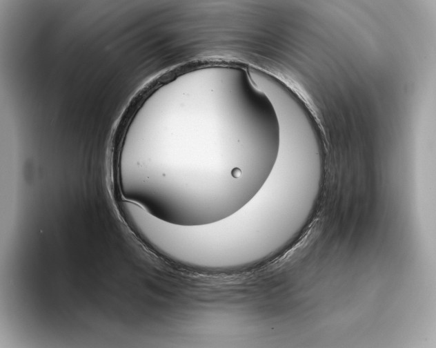 X0000094330984200711301225