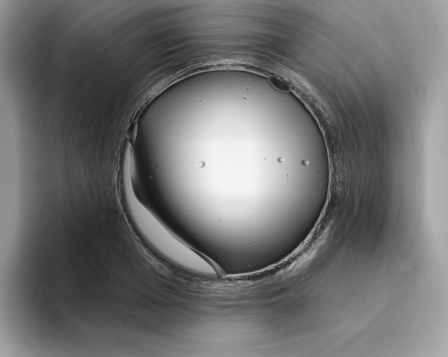 X0000094330985200711301225