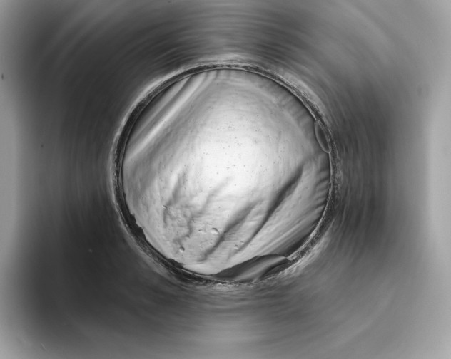 X0000094330989200711301225