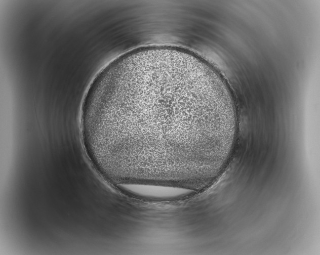 X0000094330990200711301225